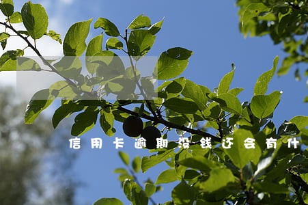信用卡逾期没钱还会有什么后果