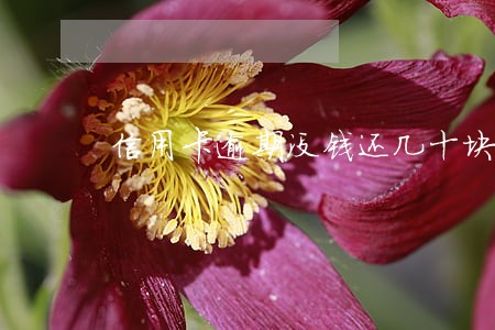 信用卡逾期没钱还几十块进去