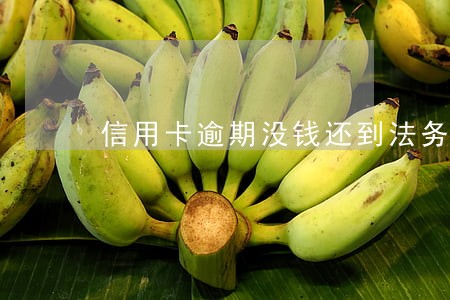 信用卡逾期没钱还到法务部门
