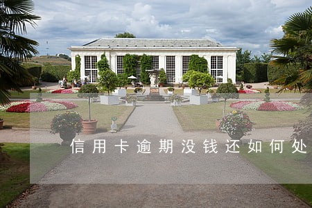 信用卡逾期没钱还如何处理
