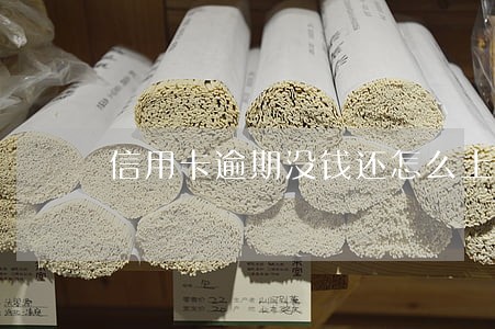 信用卡逾期没钱还怎么上岸 信用卡逾期没钱还怎么上岸