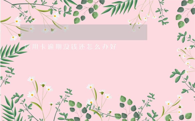 信用卡逾期没钱还怎么办好 信用卡逾期没钱还怎么办好