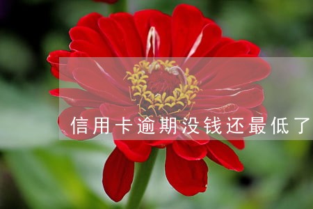 信用卡逾期没钱还最低了 信用卡逾期没钱还最低了