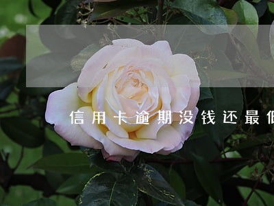 信用卡逾期没钱还最低额度 信用卡逾期没钱还最低额度