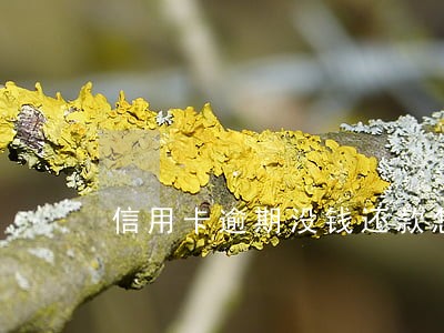 信用卡逾期没钱还款怎么处理