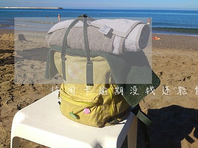 信用卡逾期没钱还能自首吗