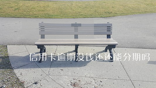 信用卡逾期没钱还还能分期吗 信用卡逾期没钱还还能分期吗