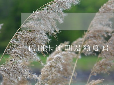 信用卡逾期没额度吗 信用卡逾期没额度吗