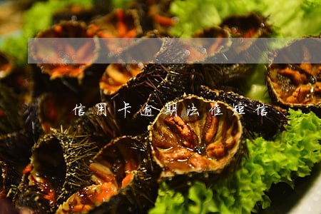 信用卡逾期法催短信