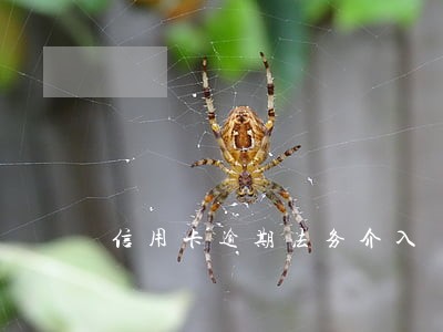 信用卡逾期法务介入 信用卡逾期法务介入