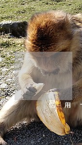 信用卡逾期法务信函可以投诉吗 信用卡逾期法务信函可以投诉吗