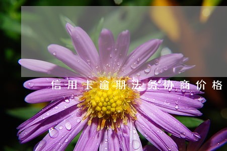 信用卡逾期法务协商价格 信用卡逾期法务协商价格