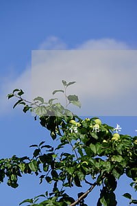信用卡逾期法务协商是真的吗
