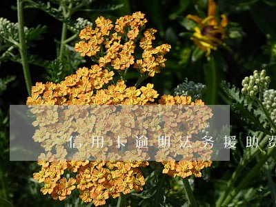 信用卡逾期法务援助费用 信用卡逾期法务援助费用