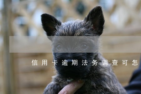 信用卡逾期法务调查可怎么办 信用卡逾期法务调查可怎么办