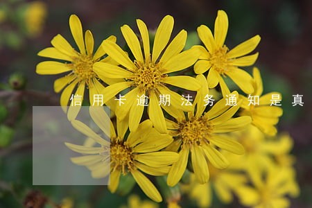 信用卡逾期法务通知是真的么 信用卡逾期法务通知是真的么
