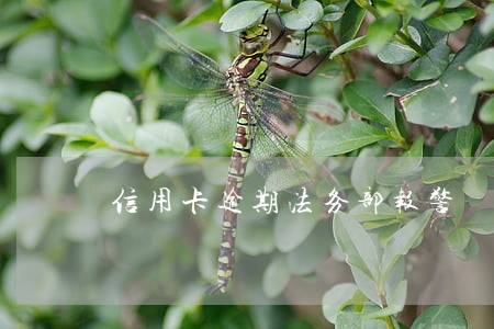 信用卡逾期法务部报警 信用卡逾期法务部报警