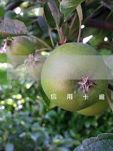 信用卡逾期法务部立案怎么办 信用卡逾期法务部立案怎么办