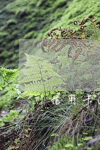 信用卡逾期法务部联系 信用卡逾期法务部联系