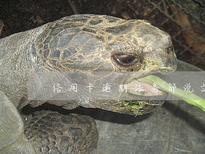 信用卡逾期法务部说立案