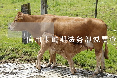 信用卡逾期法务部说要查流水 信用卡逾期法务部说要查流水