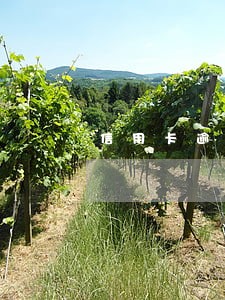 信用卡逾期法务部调取档案
