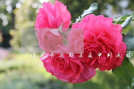 信用卡逾期法庭审判流程
