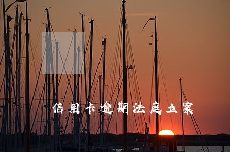 信用卡逾期法庭立案
