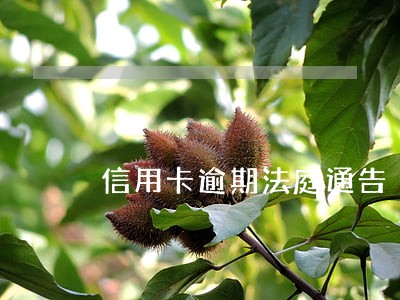 信用卡逾期法庭通告