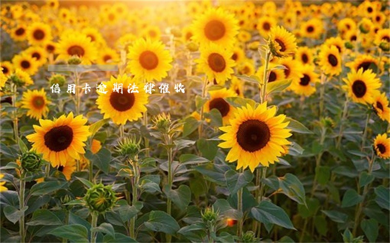 信用卡逾期法律催收 信用卡逾期法律催收