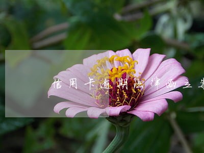 信用卡逾期法律函立案 信用卡逾期法律函立案