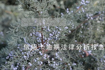 信用卡逾期法律分析报告 信用卡逾期法律分析报告