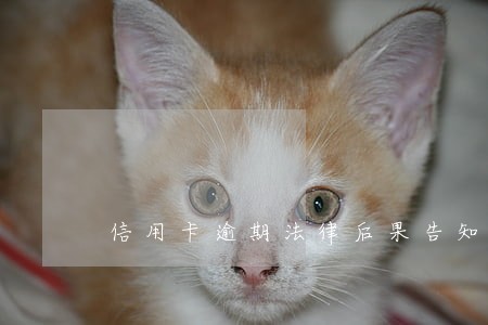信用卡逾期法律后果告知书 信用卡逾期法律后果告知书