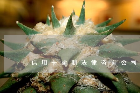 信用卡逾期法律咨询公司 信用卡逾期法律咨询公司