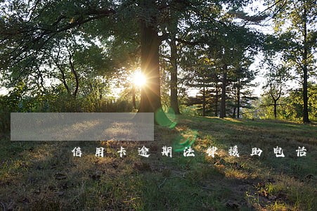 信用卡逾期法律援助电话 信用卡逾期法律援助电话
