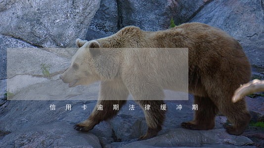 信用卡逾期法律缓冲期 信用卡逾期法律缓冲期
