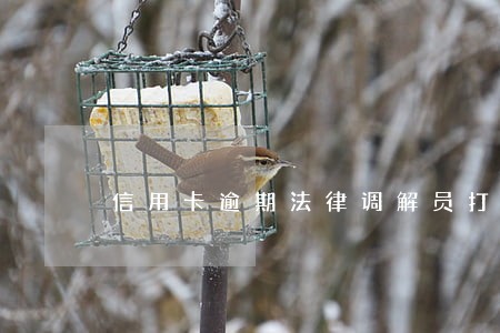 信用卡逾期法律调解员打电话 信用卡逾期法律调解员打电话