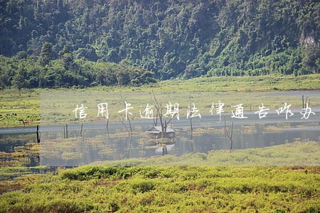 信用卡逾期法律通告咋办 信用卡逾期法律通告咋办