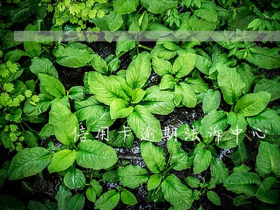 信用卡逾期法诉中心