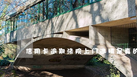 信用卡逾期法院上门逮捕是真的吗 信用卡逾期法院上门逮捕是真的吗