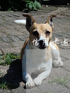 信用卡逾期法院会上门催收吗 信用卡逾期法院会上门催收吗