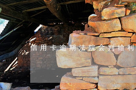 信用卡逾期法院会判给利息吗 信用卡逾期法院会判给利息吗