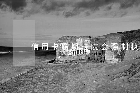 信用卡逾期法院会强制执行吗