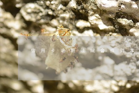 信用卡逾期法院会找到本人吗 信用卡逾期法院会找到本人吗