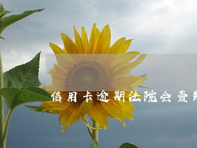 信用卡逾期法院会查封房子吗 信用卡逾期法院会查封房子吗