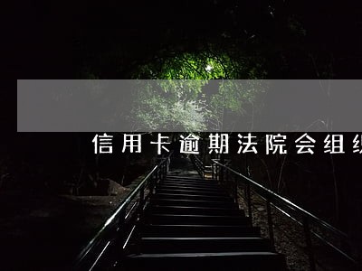 信用卡逾期法院会组织调解吗 信用卡逾期法院会组织调解吗