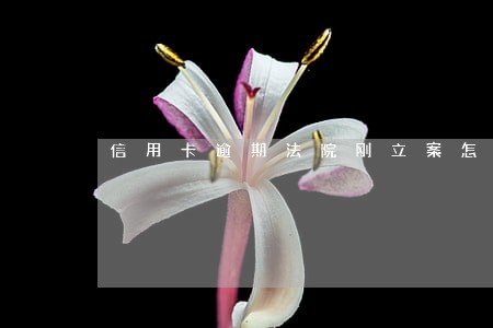 信用卡逾期法院刚立案怎么撤销 信用卡逾期法院刚立案怎么撤销