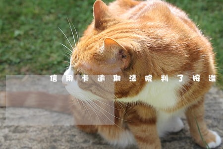 信用卡逾期法院判了按谁的还 信用卡逾期法院判了按谁的还