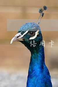 信用卡逾期法院判了还能协商 信用卡逾期法院判了还能协商