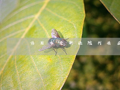信用卡逾期法院判决后无力偿 信用卡逾期法院判决后无力偿